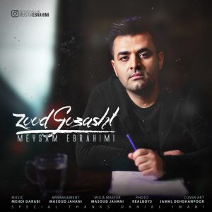 دانلود آهنگ جدید میثم ابراهیمی به نام زود گذشت از میثم ابراهیمی