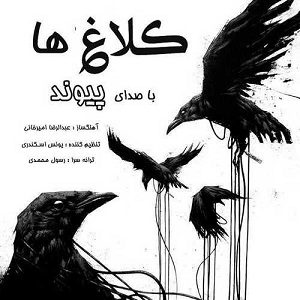 دانلود آهنگ جدید پیوند به نام کلاغ ها