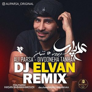 دانلود ریمیکس جديد علی پارسا به نام دیوونه ها تنهان