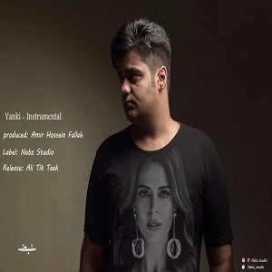 دانلود آهنگ بی کلام امیرحسین فلاح به نام انعکاس