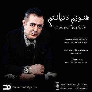 دانلود آهنگ جدید امین والائی به نام هنوزم دنبالتم