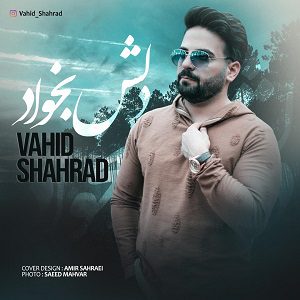 دانلود آهنگ جدید وحید شهراد به نام دلش بخواد از وحید شهراد