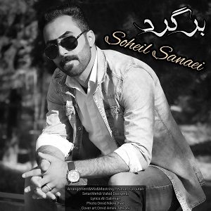 دانلود آهنگ جدید سهیل سنایی به نام برگرد