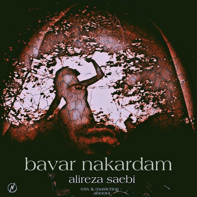 دانلود آهنگ جدید علیرضا صائبی به نام باور نکردم