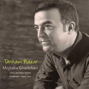 دانلود آهنگ جدید مجتبی قندهاری به نام تنهام نذار