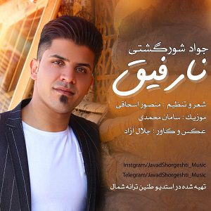 دانلود آهنگ جدید جواد شورگشتی به نام نارفیق