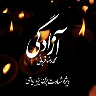 دانلود موزیک ویدیو محمد رضا قربانی به نام آزادگی