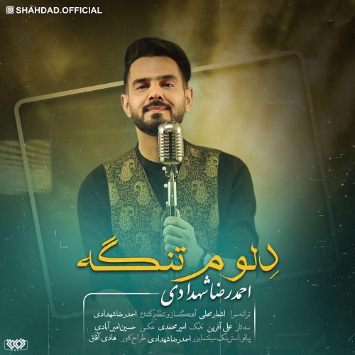 دانلود آهنگ جدید احمدرضا شهدادی به نام دِلوم تنگه