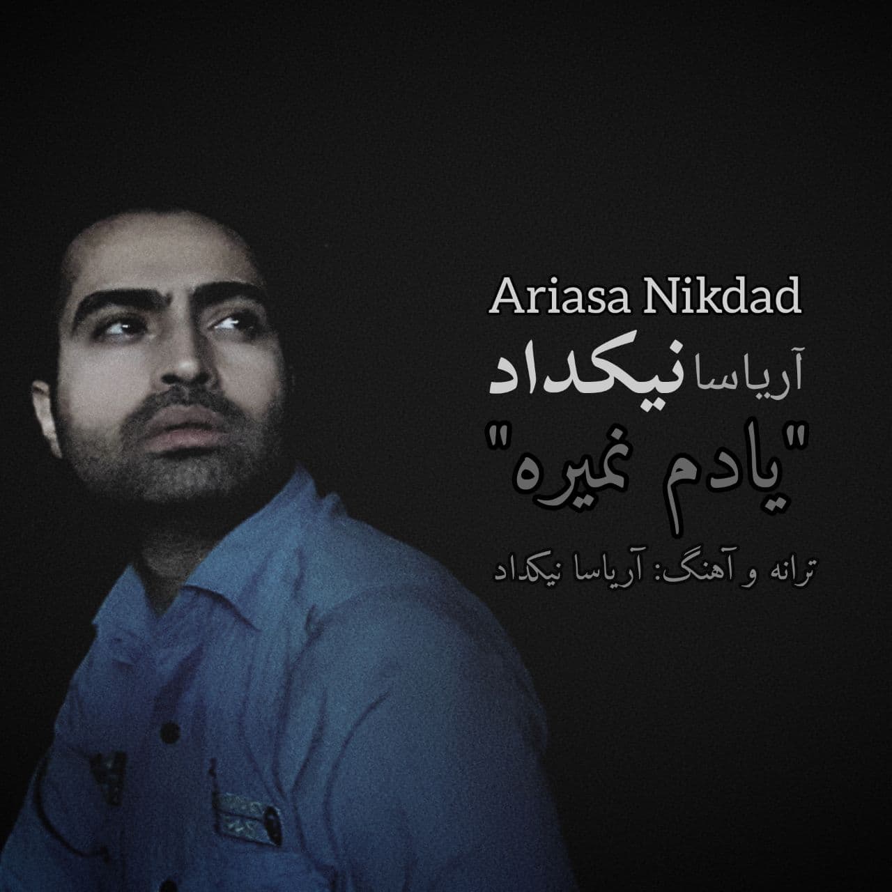 دانلود آهنگ جدید آریاسا نیکداد به نام یادم نمیره