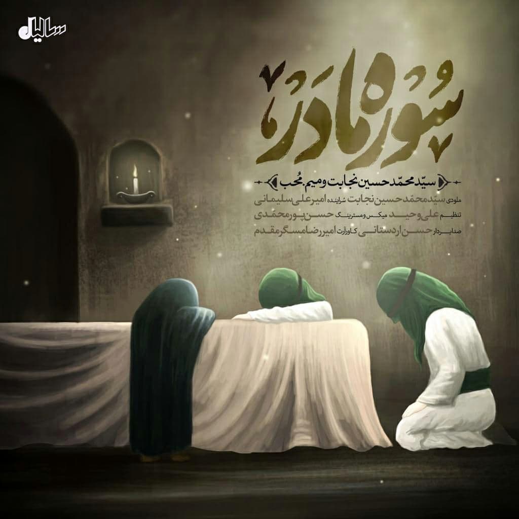 دانلود آهنگ سید محمدحسین نجابت و میم محب به نام سوره مادر