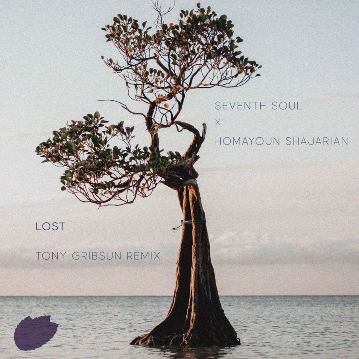 دانلود ریمیکس همایون شجریان از Seventh Soul به نام Lost