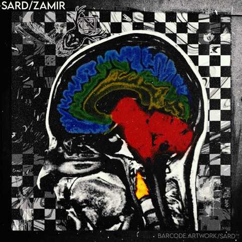 دانلود آهنگ جدید صرد ضمیر