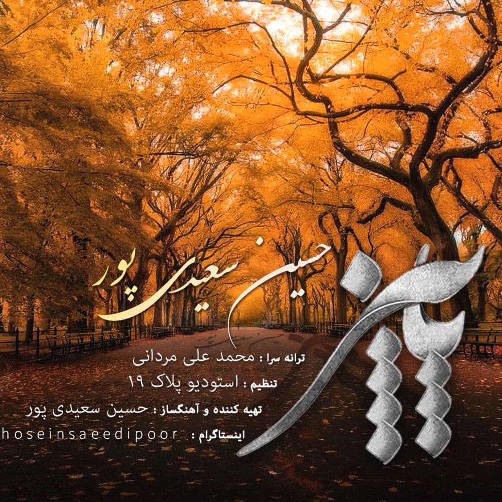 دانلود آهنگ جدید حسین سعیدی پور پاییز از حسین سعیدی پور