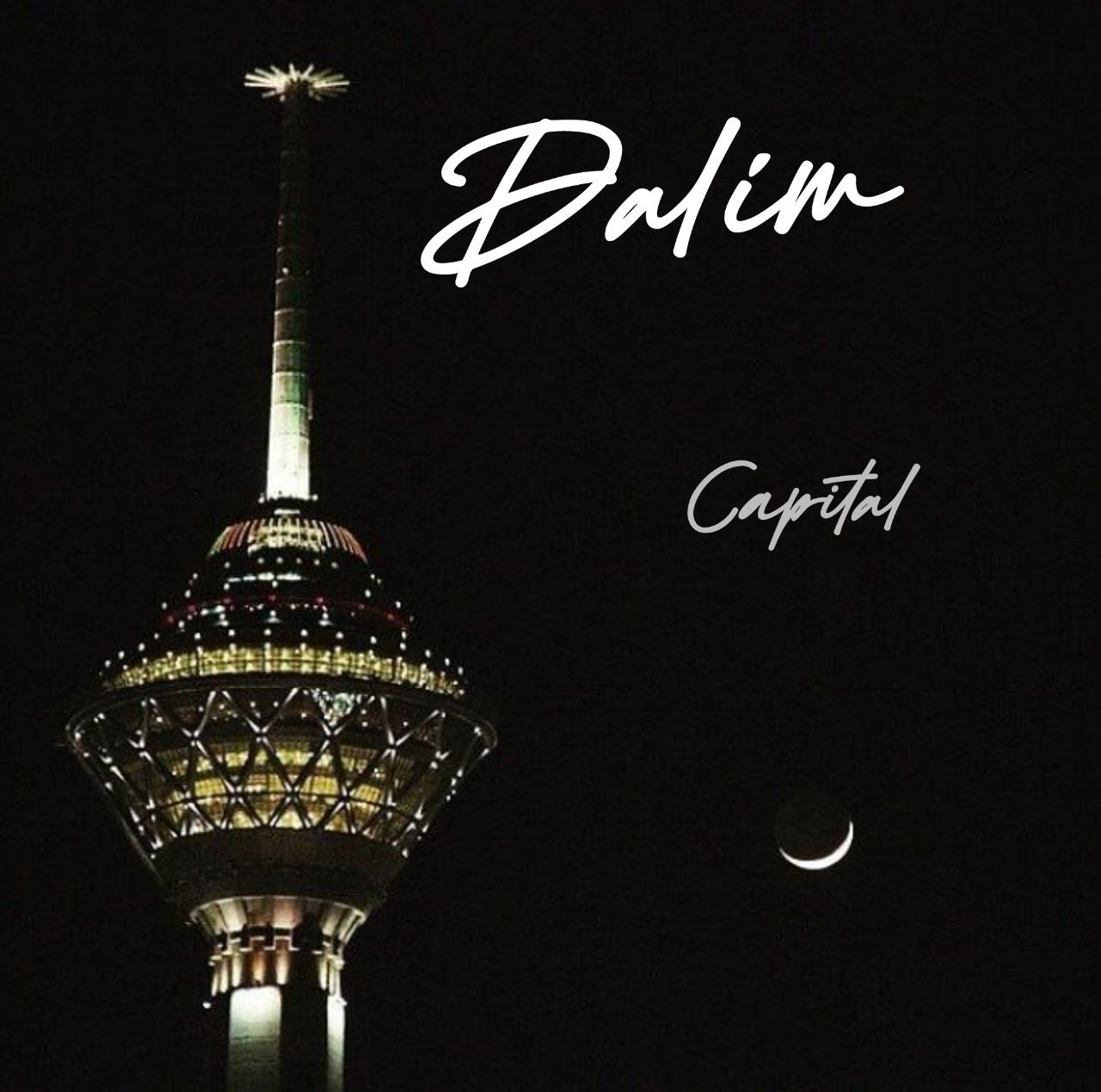 دانلود آهنگ جدید دالیم کاپیتال از تهران سانگ