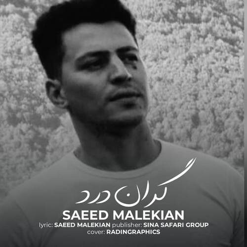 دانلود آهنگ جدید سعید ملکیان گران درد