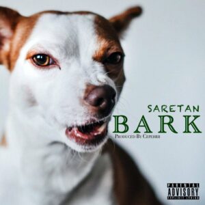 دانلود آهنگ جدید آرش سرطان ( بارک ) BARK دانلود آهنگ جدید آرش سرطان ( بارک ) BARK