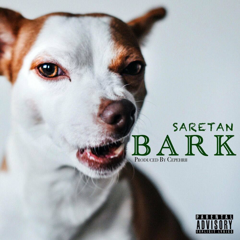 دانلود آهنگ جدید آرش سرطان ( بارک ) BARK