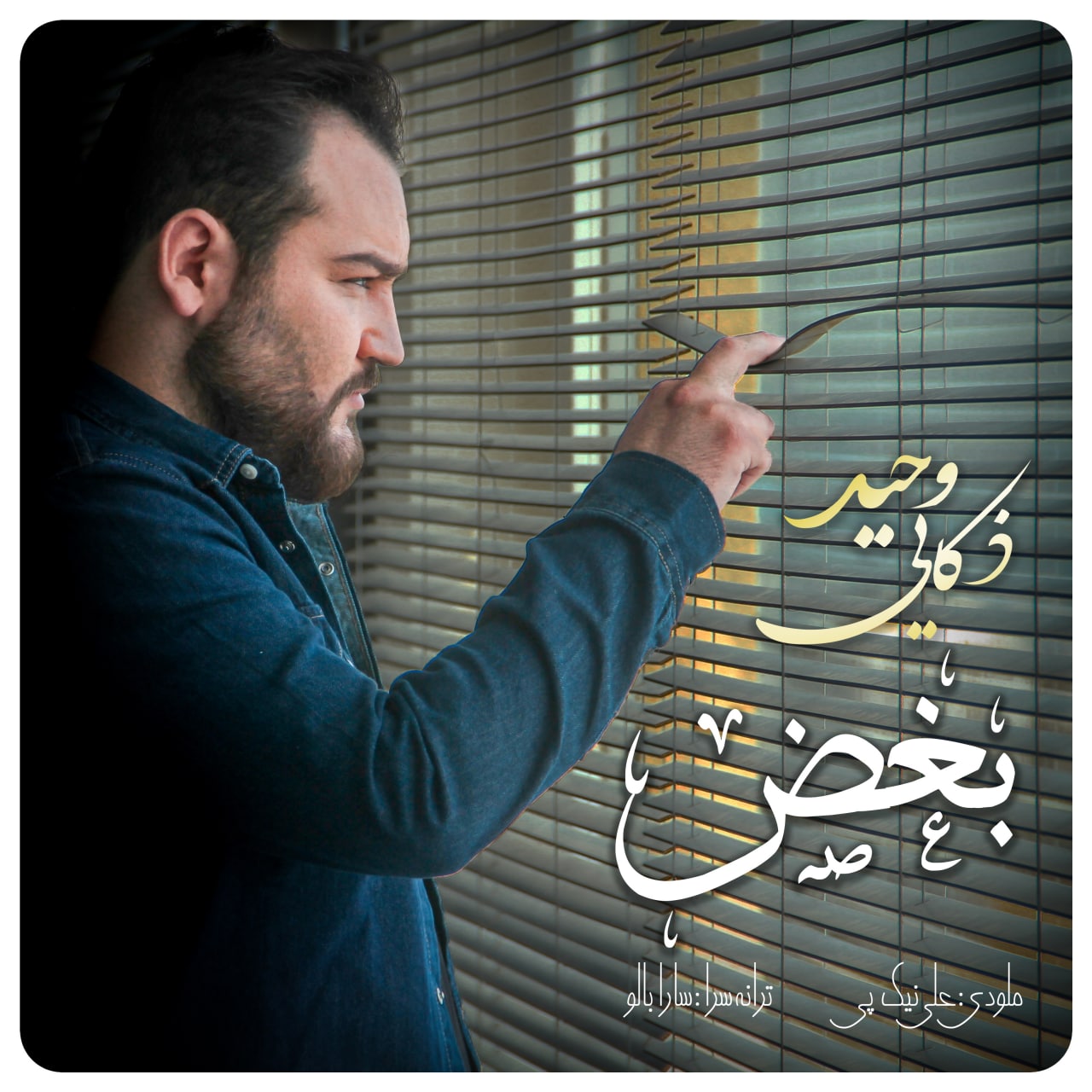 دانلود آهنگ جدید وحید ذکایی بغض