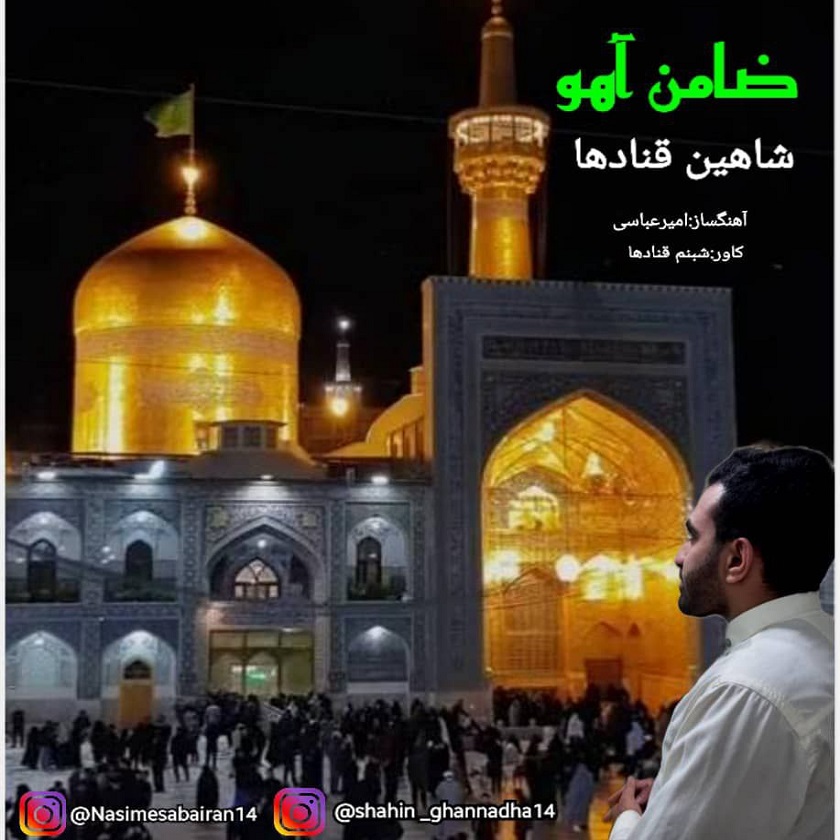 دانلود آهنگ جدید شاهین قنادها ضامن آهو از تهران سانگ