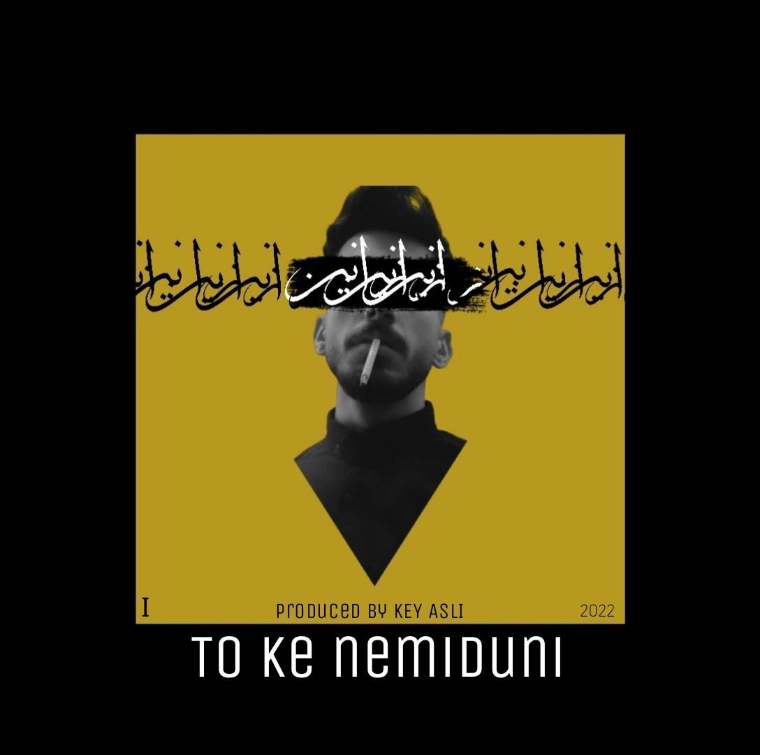 دانلود آهنگ جدید زانین تو که نمیدونی