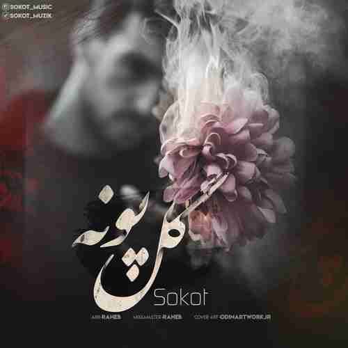 دانلود آهنگ جدید سکوت گل پونه