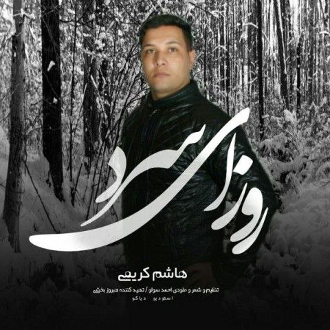 دانلود آهنگ جدید هاشم کریمی روزای سرد