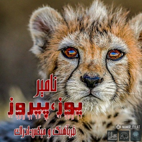 دانلود آهنگ جدید نامیر یوز و پیروز