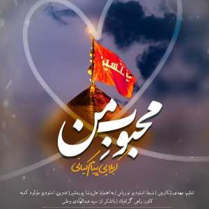 دانلود مداحی پیام کیانی محبوب من