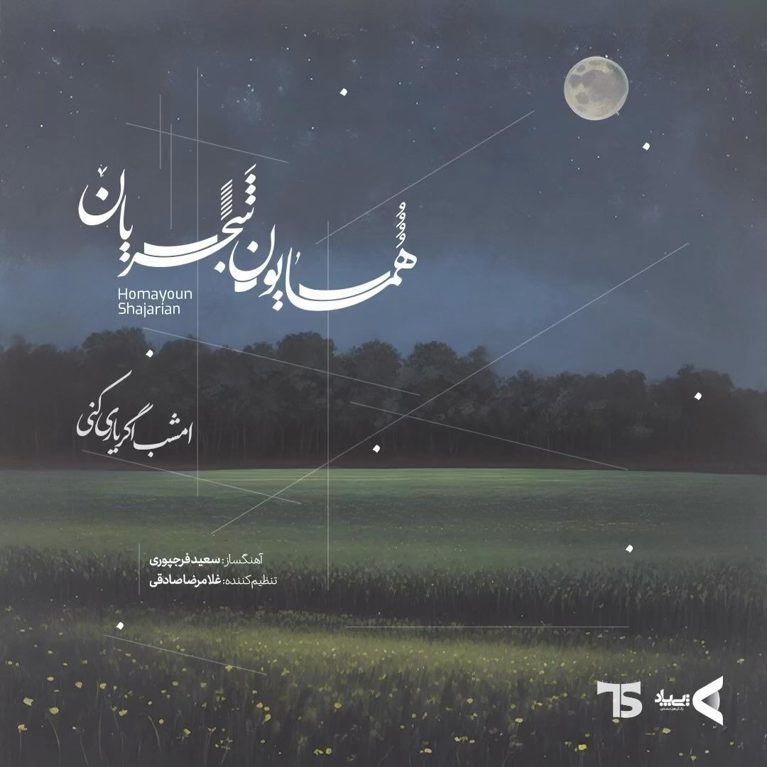همایون شجریان امشب اگر یاری کنی