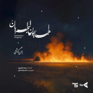 دانلود آهنگ جدید همایون شجریان بر من گذشتی