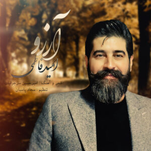 دانلود آهنگ جدید امید فاطمی آرزو