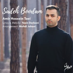 دانلود آهنگ جدید امیرحسین طائی ساده بودم