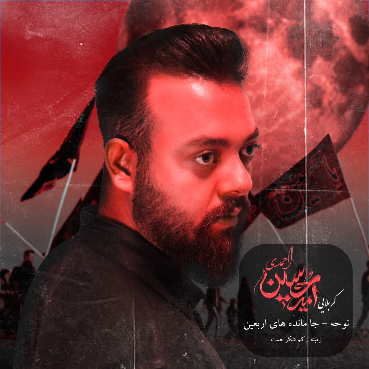 شکر نعمت از امیرحسین احمدی