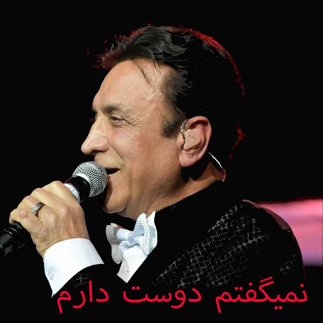 نمیگفتم دوست دارم