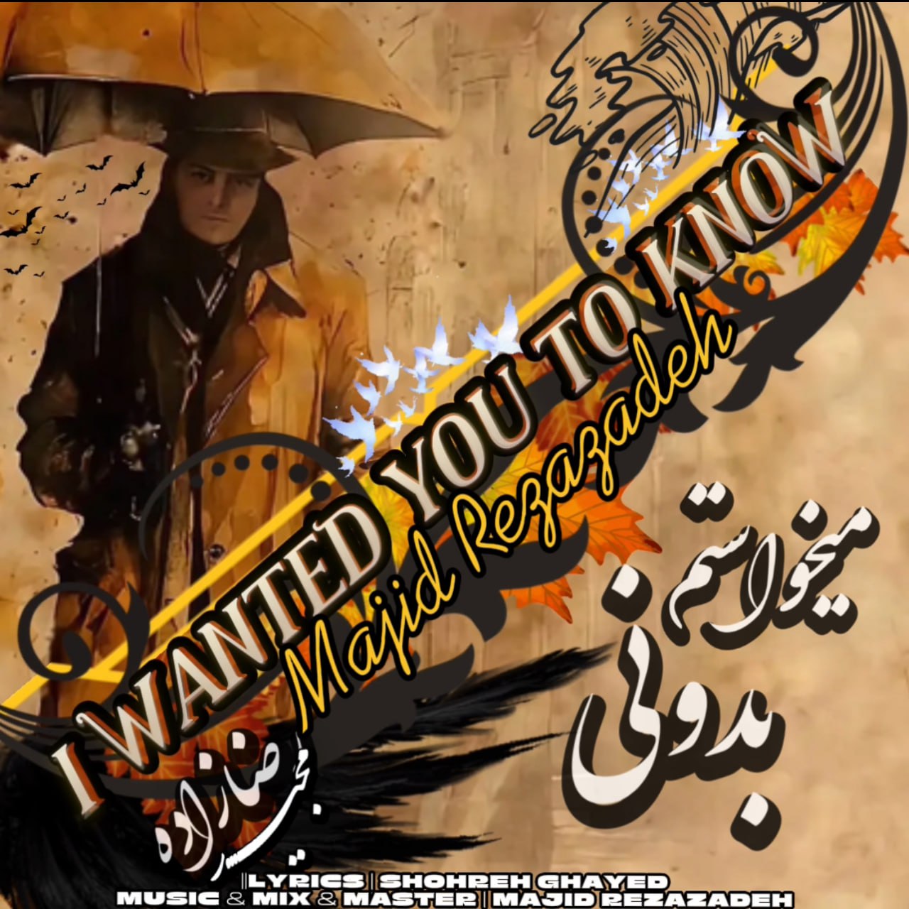 میخواستم بدونی