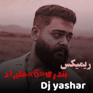 دانلود ریمیکس جدید دیجی یاشار بندری 6 