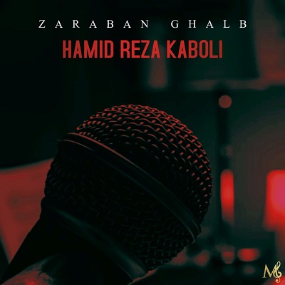 ضربان قلب