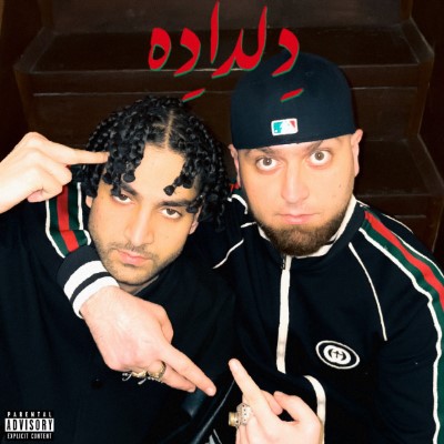 دانلود آهنگ جدید هیپپهاپولوژیست و سینازا دلداده