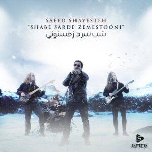 دانلود آهنگ جدید سعید شایسته شب سرد زمستونی