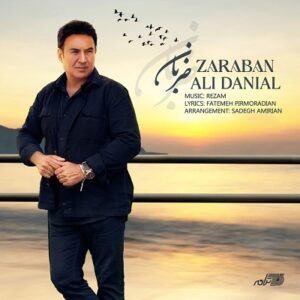 دانلود آهنگ جدید علی دانیال ضربان