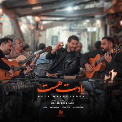 دانلود آهنگ جدید رضا ملک زاده یادت هست همراه با متن lyric
