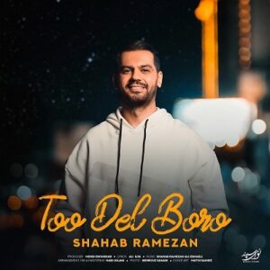 دانلود آهنگ جدید شهاب رمضان تو دل برو همراه با متن lyrics