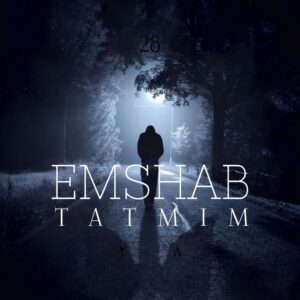 دانلود آهنگ جدید تتمیم امشب همراه با متن lyrics