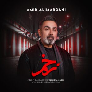 دانلود آهنگ جدید امیر علیمردانی زخم همراه با متن lyrics