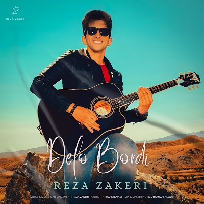 دانلود آهنگ جدید رضا ذاکری دلو بردی همراه با متن lyrics