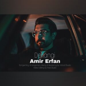 دانلود آهنگ جدید امیر عرفان دلتنگی