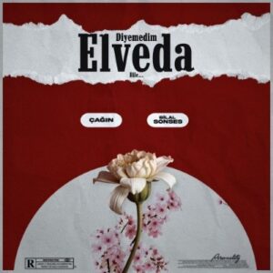 دانلود آهنگ جدید Bilal Sonses و Cagin Diyemedim Elveda