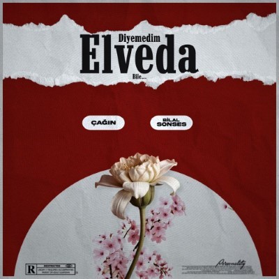 دانلود آهنگ جدید Bilal Sonses و Cagin Diyemedim Elveda