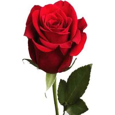 دانلود آهنگ جدید هلیوم اگه برگردی همراه با متن lyrics