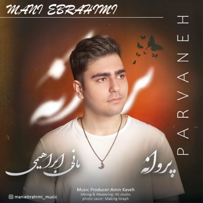 دانلود آهنگ جدید مانی ابراهیمی پروانه